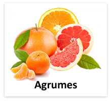 eliquide agrumes