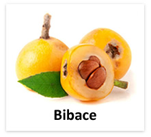 eliquide bibace