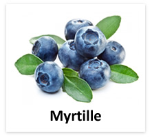 eliquide myrtille