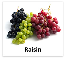 eliquide raisin